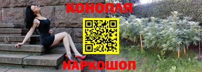 трава Новокубанск